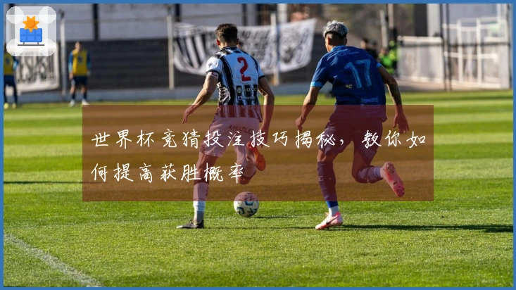 世界杯竞猜投注技巧揭秘，教你如何提高获胜概率