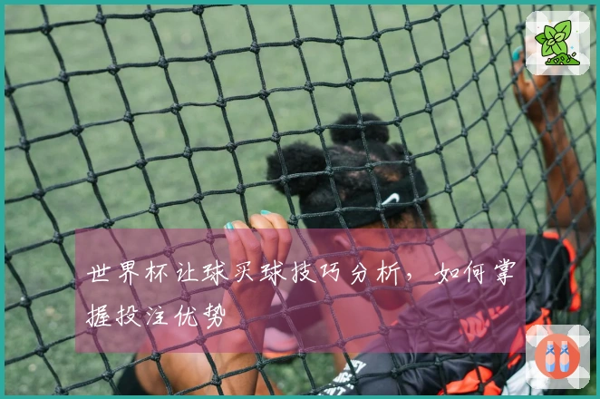 世界杯让球买球技巧分析，如何掌握投注优势
