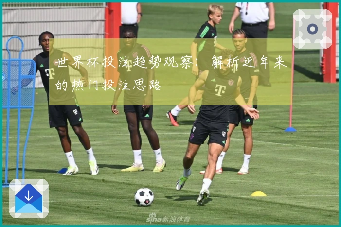 世界杯投注趋势观察：解析近年来的热门投注思路