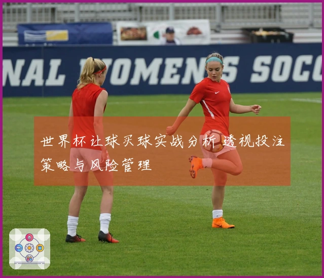世界杯让球买球实战分析 透视投注策略与风险管理